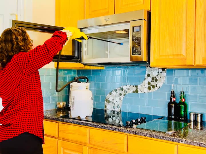 I spray the entire counter down with that disinfectant spray, and I make sure to get the cooktop good, the handles on the cooktop good, the backsplash, my microwave is right above that, so I make sure to spray that too on the front, the inside, the door, and especially the keypad and the handle where everybody's touching it.